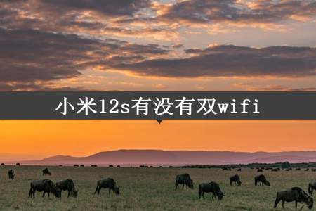 小米12s有没有双wifi