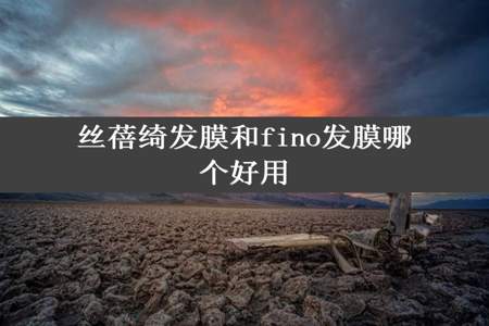 丝蓓绮发膜和fino发膜哪个好用