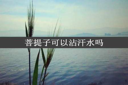 菩提子可以沾汗水吗