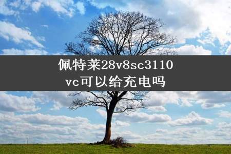 佩特莱28v8sc3110vc可以给充电吗