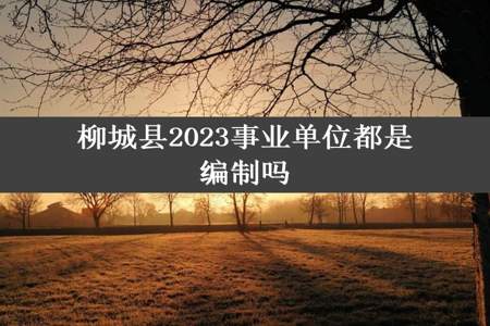 柳城县2023事业单位都是编制吗