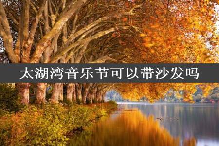 太湖湾音乐节可以带沙发吗