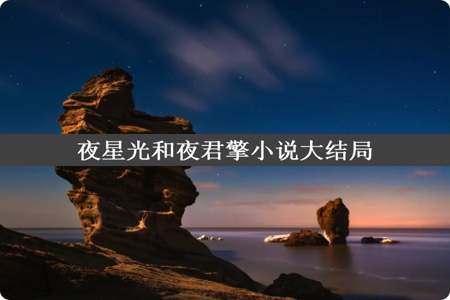 夜星光和夜君擎小说大结局