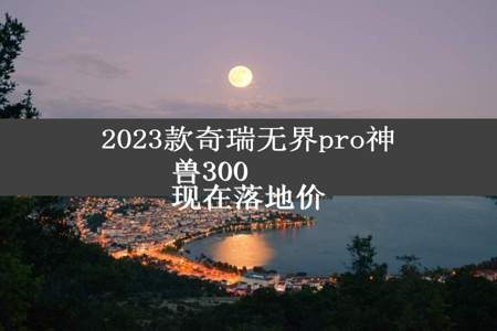 2023款奇瑞无界pro神兽300
现在落地价