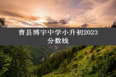 曹县博宇中学小升初2023分数线