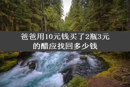 爸爸用10元钱买了2瓶3元的醋应找回多少钱