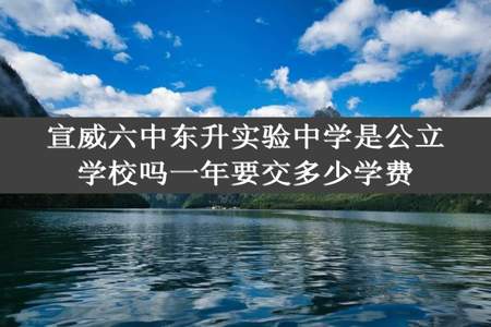 宣威六中东升实验中学是公立学校吗一年要交多少学费