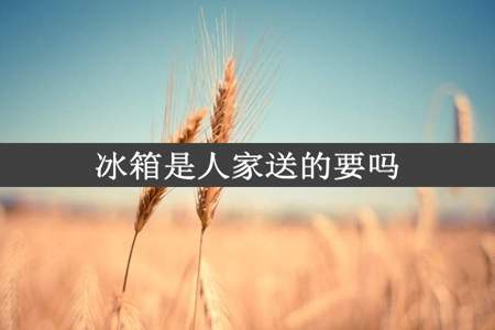 冰箱是人家送的要吗