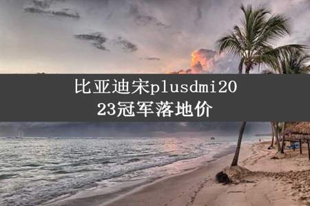 比亚迪宋plusdmi2023冠军落地价