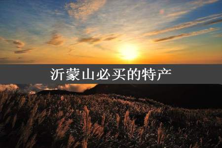 沂蒙山必买的特产