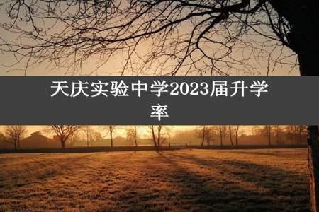 天庆实验中学2023届升学率