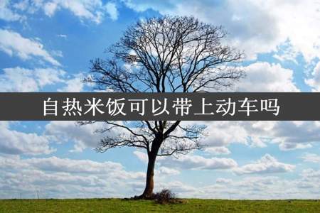 自热米饭可以带上动车吗