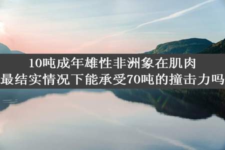 10吨成年雄性非洲象在肌肉最结实情况下能承受70吨的撞击力吗