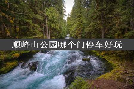 顺峰山公园哪个门停车好玩