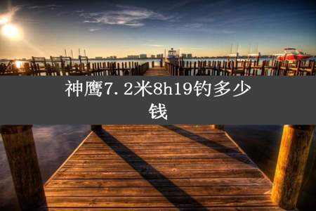 神鹰7.2米8h19钓多少钱