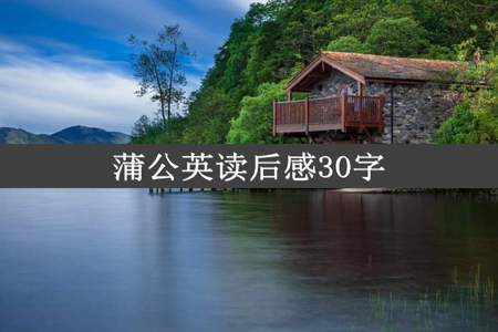 蒲公英读后感30字