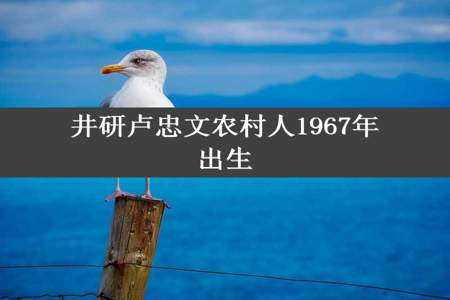 井研卢忠文农村人1967年出生