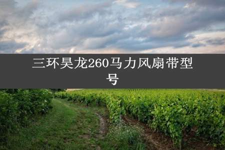 三环昊龙260马力风扇带型号