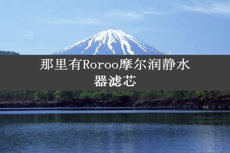 那里有Roroo摩尔润静水器滤芯