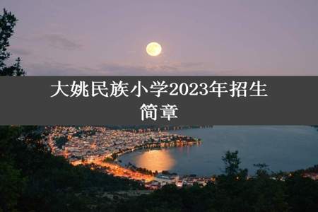 大姚民族小学2023年招生简章