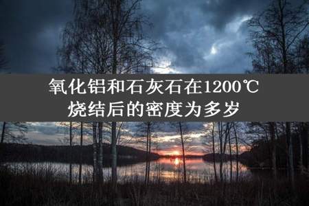 氧化铝和石灰石在1200℃烧结后的密度为多岁