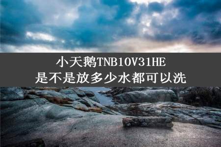 小天鹅TNB10V31HE是不是放多少水都可以洗