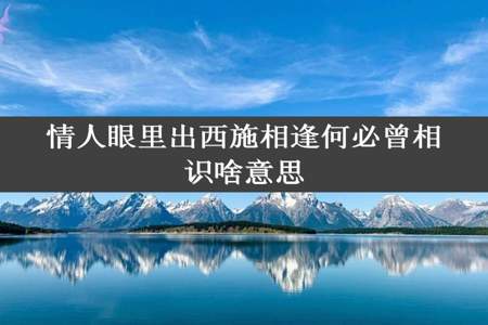 情人眼里出西施相逢何必曾相识啥意思