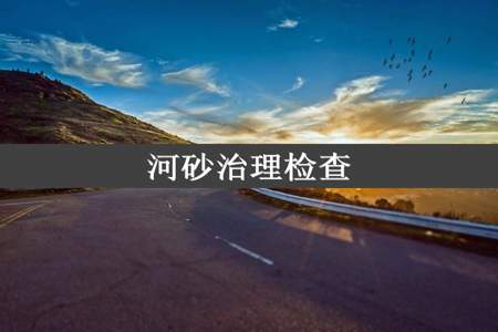 河砂治理检查