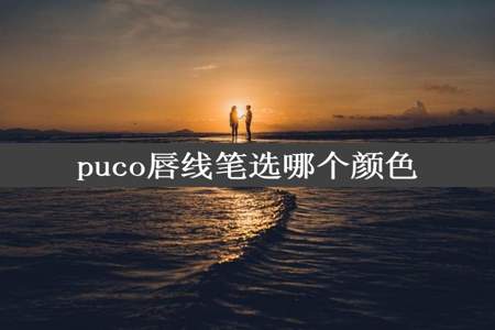 puco唇线笔选哪个颜色