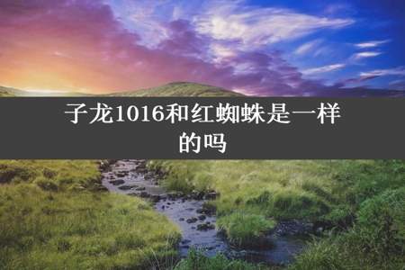 子龙1016和红蜘蛛是一样的吗