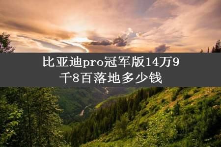 比亚迪pro冠军版14万9千8百落地多少钱