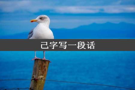 己字写一段话