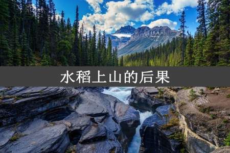 水稻上山的后果