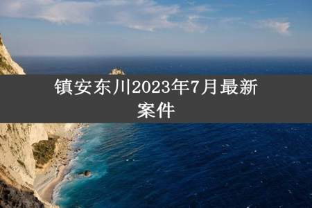 镇安东川2023年7月最新案件