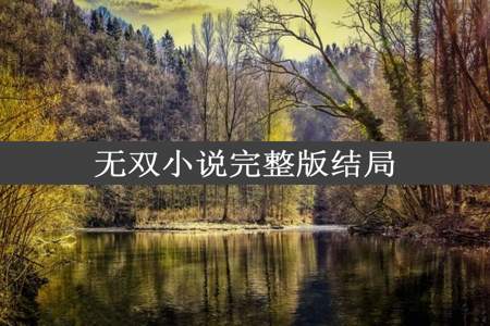 无双小说完整版结局