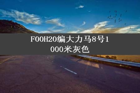 F00H20编大力马8号1000米灰色