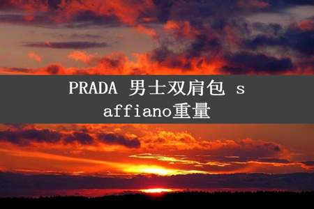 PRADA 男士双肩包 saffiano重量