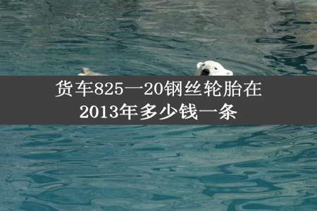 货车825一20钢丝轮胎在2013年多少钱一条