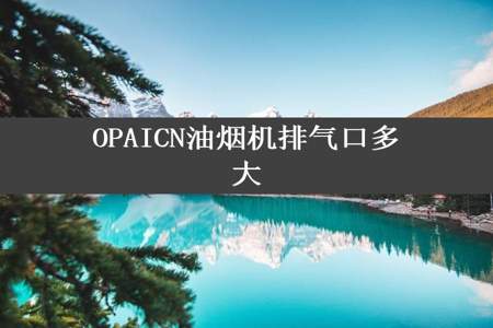 OPAICN油烟机排气口多大