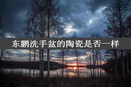 东鹏洗手盆的陶瓷是否一样