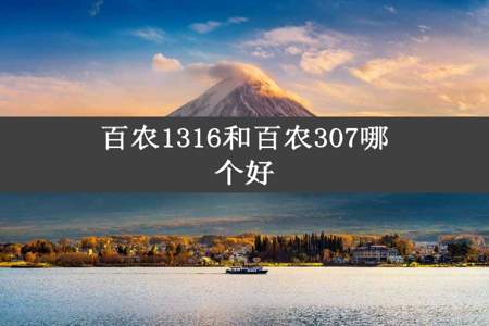 百农1316和百农307哪个好