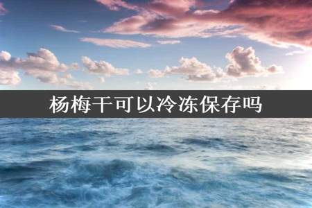 杨梅干可以冷冻保存吗