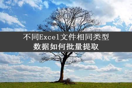 不同Excel文件相同类型数据如何批量提取