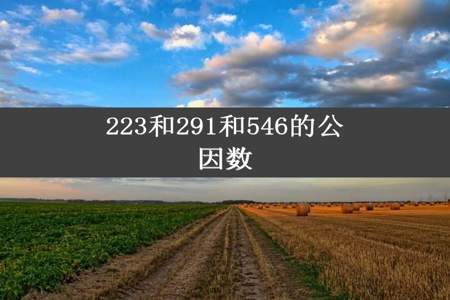 223和291和546的公因数