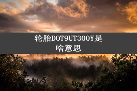 轮胎DOT9UT300Y是啥意思