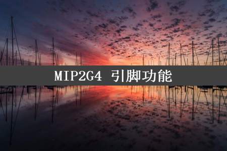 MIP2G4 引脚功能