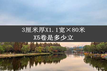 3厘米厚X1.1宽×80米X5卷是多少立