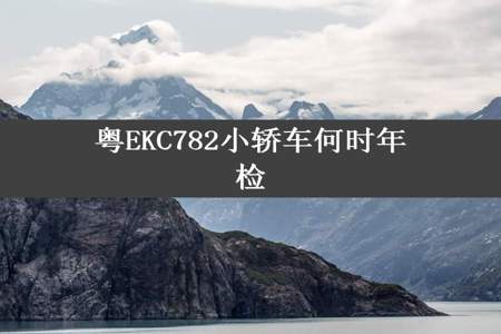 粤EKC782小轿车何时年检