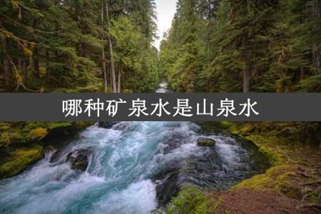 哪种矿泉水是山泉水