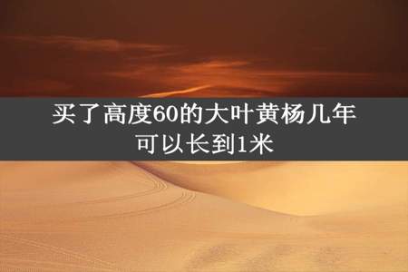 买了高度60的大叶黄杨几年可以长到1米